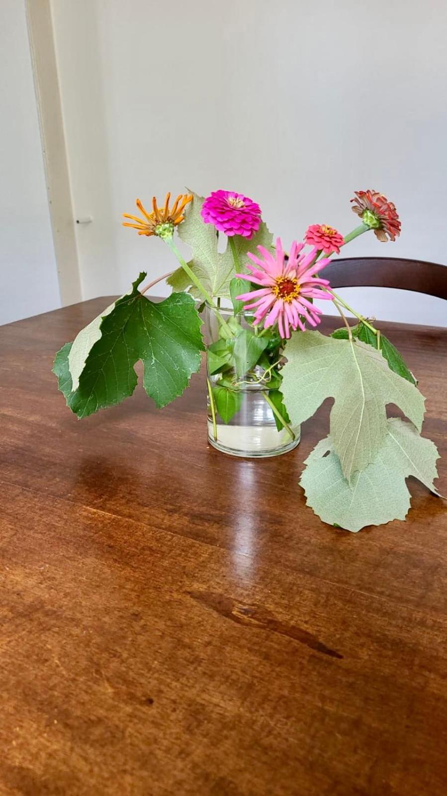 Antica Casa Storica Con Giardino Lägenhet Domodossola Exteriör bild